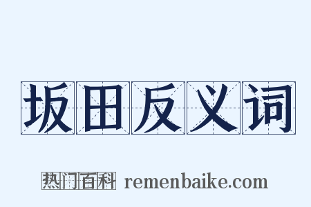 坂田反义词是什么意思的图片